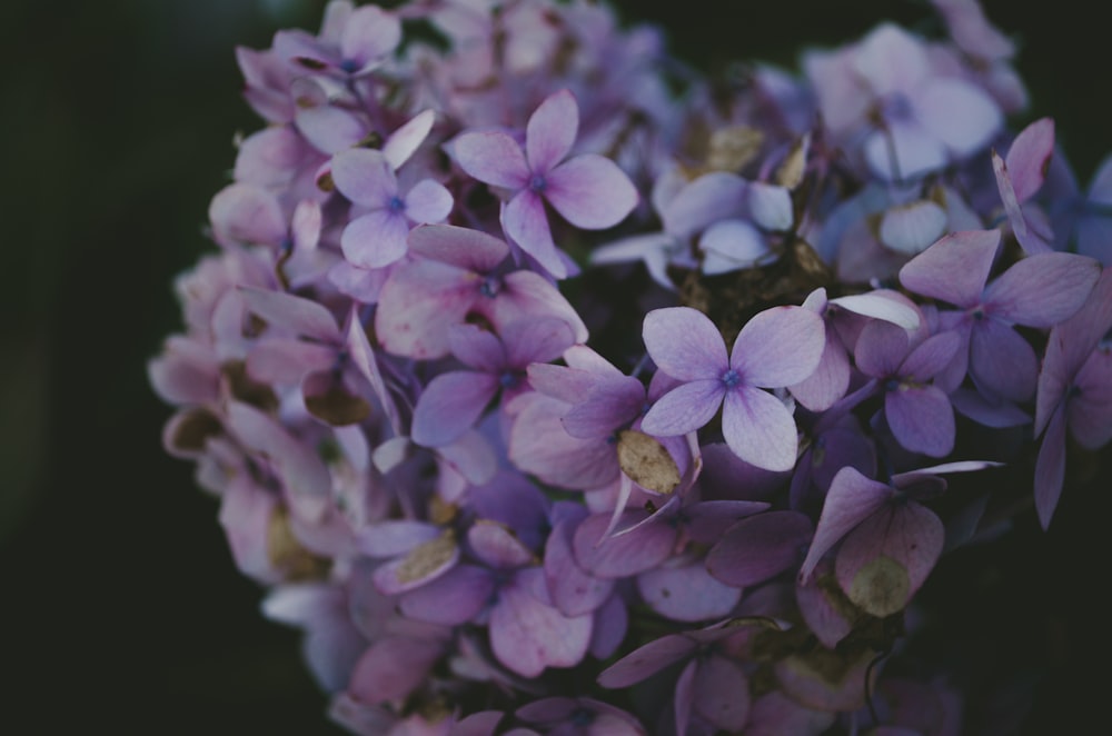 green flowers