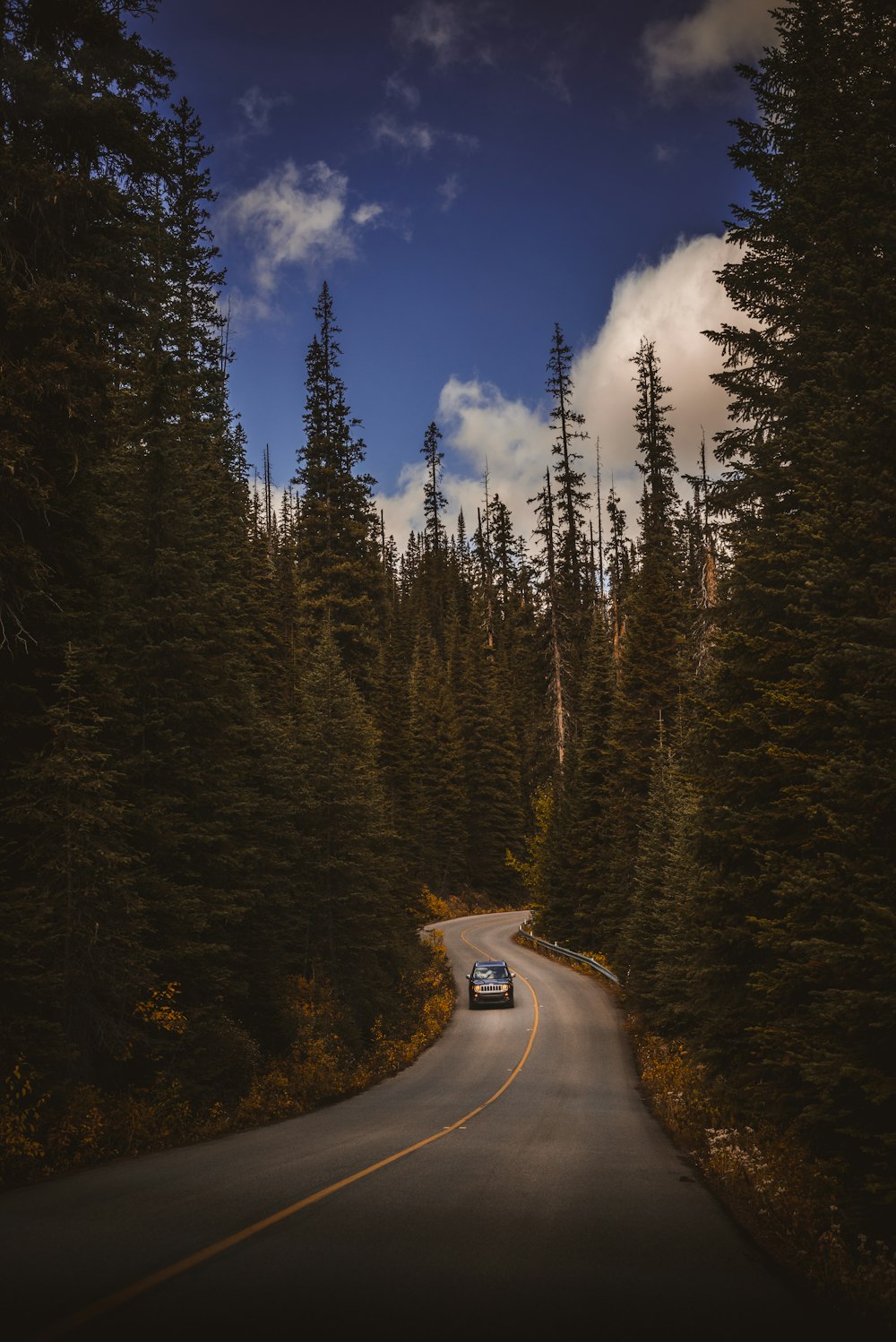 낮에는 푸른 숲으로 둘러싸인 회색 아스팔트 도로에 검은 차