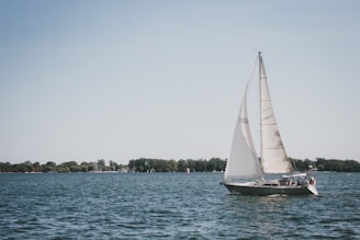A beautiful sailboat gliding across the water.