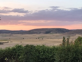 An expansive landscape with rolling hills under a soft, pastel sunset sky.