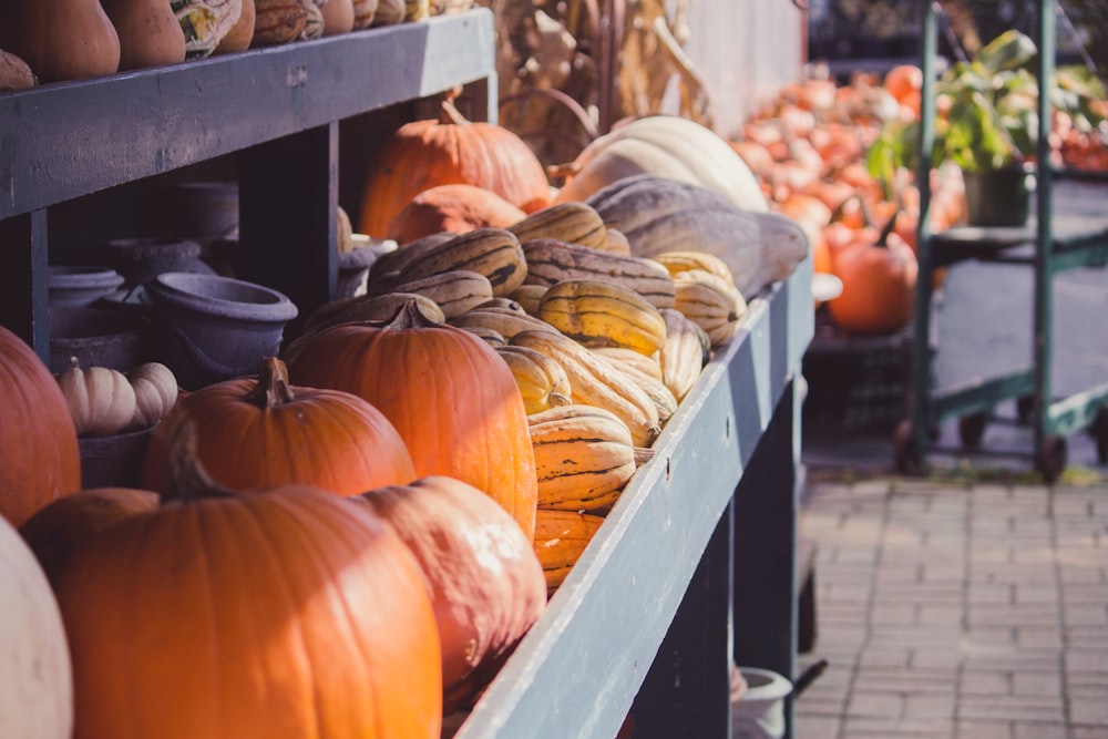 closeup photo of pumpkins inside gray display rack