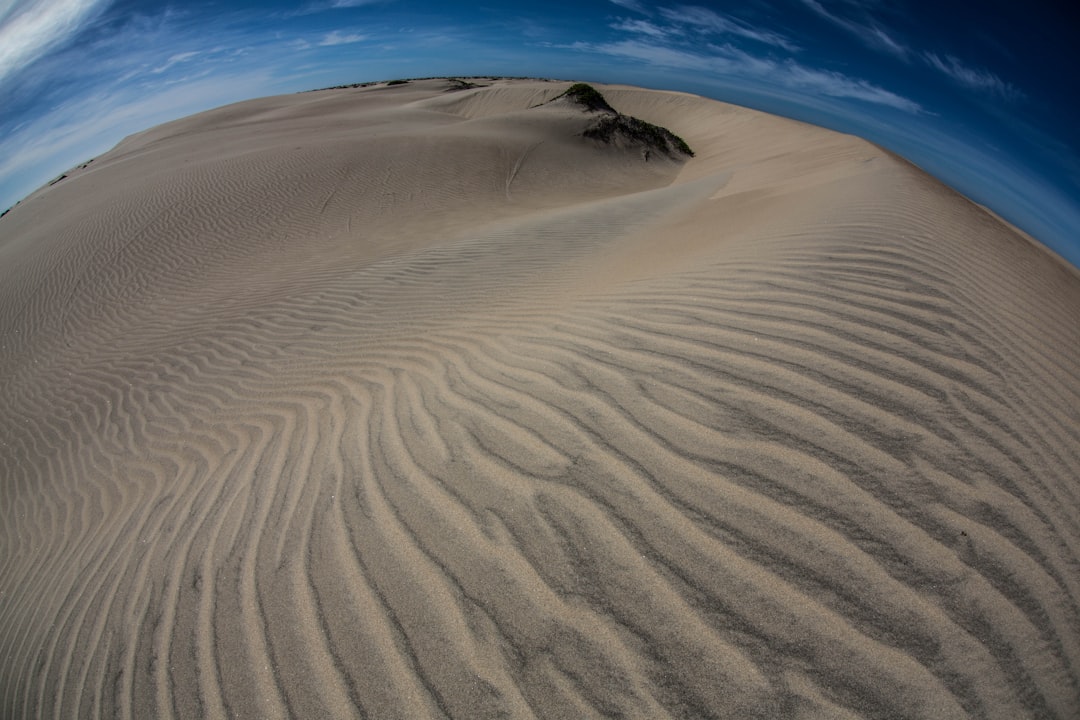 fish eye photography of desert