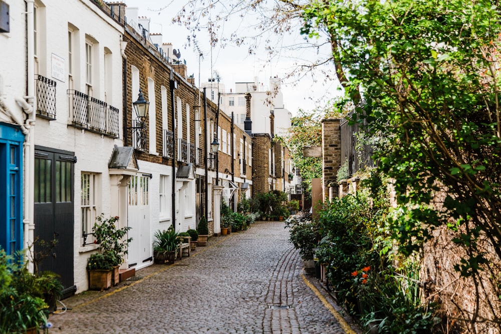 route pavée brune entre les arbres et la maison pendant la journée