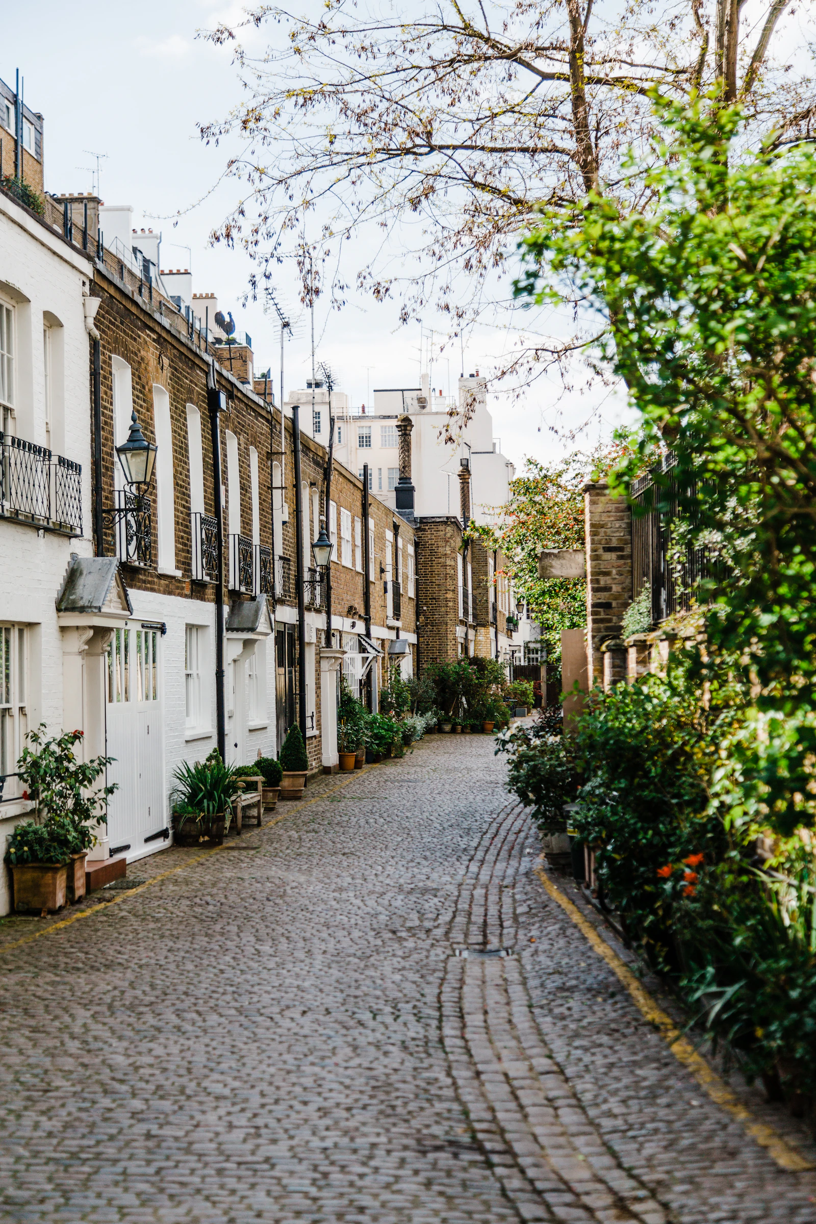 A cobbled London mews lined with brick and painted terraced houses