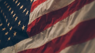 closeup photo of USA flag