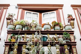 tiered vertical garden