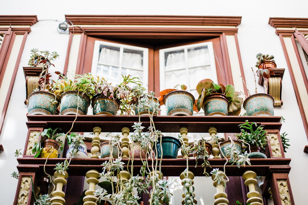 Vue de l’œil du ver des plantes sur les balustrades