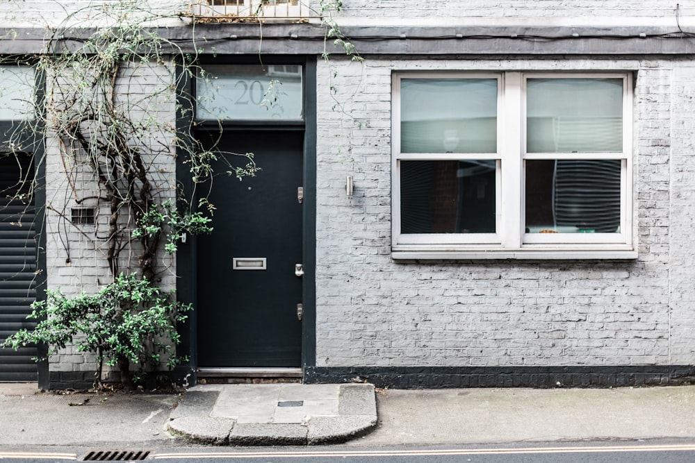 green leafed tree beside black wooden door