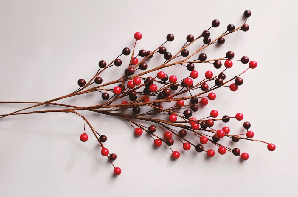 rote und braune Zweige