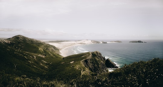 aerial view of ocean in Cape Reinga New Zealand