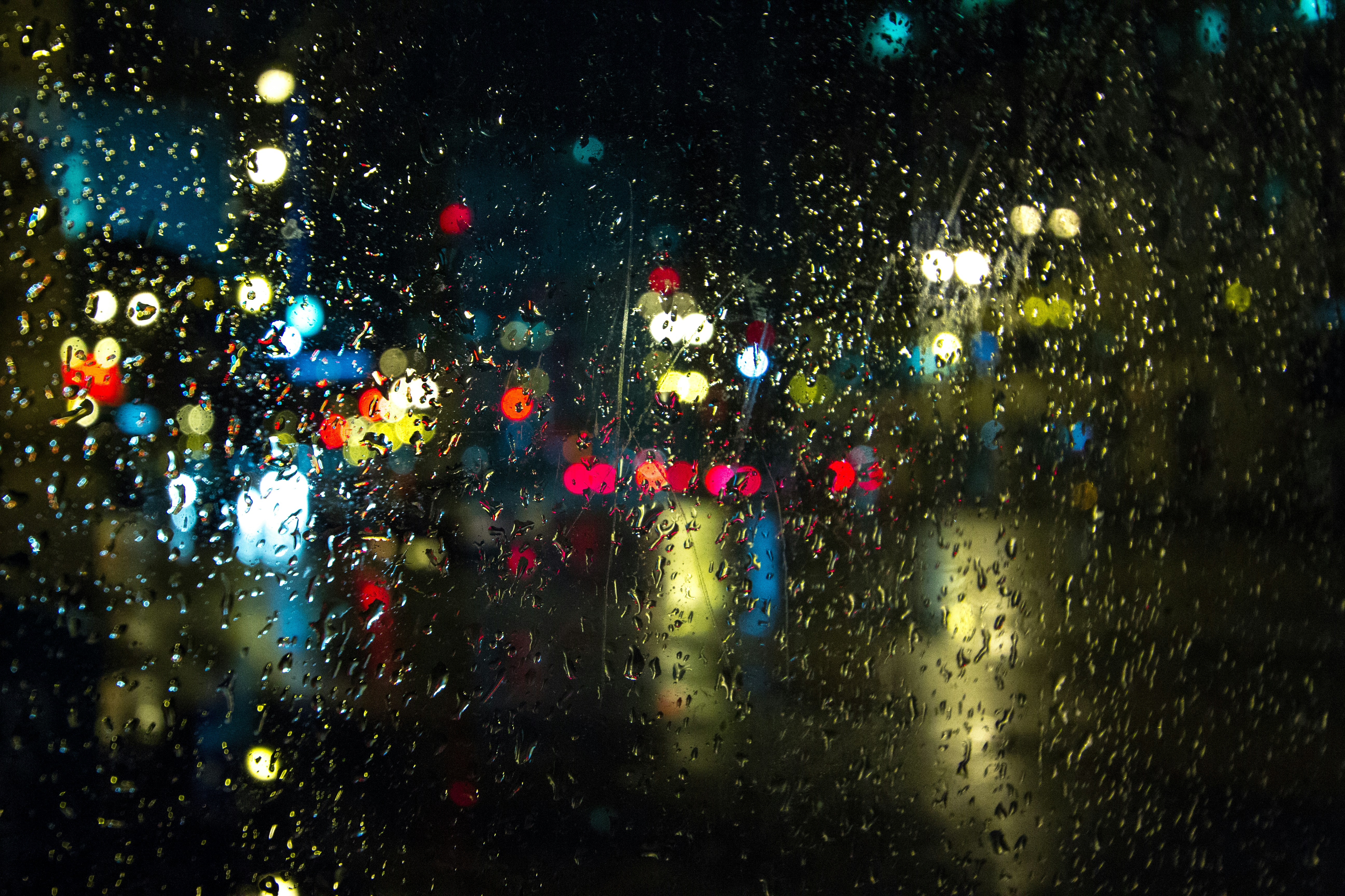 photo-1510273449737-b97cde25f912?ixlib=rb-1.2.1&ixid=eyJhcHBfaWQiOjEyMDd9&auto=format&fit=crop&w=1500&q=80