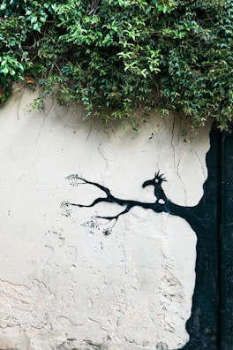 A wall is adorned with a piece of street art displaying a silhouette of a bird perched on a branch, seamlessly integrated with a leafy plant growing on top. The art is painted in black against a textured white wall, creating a striking contrast.