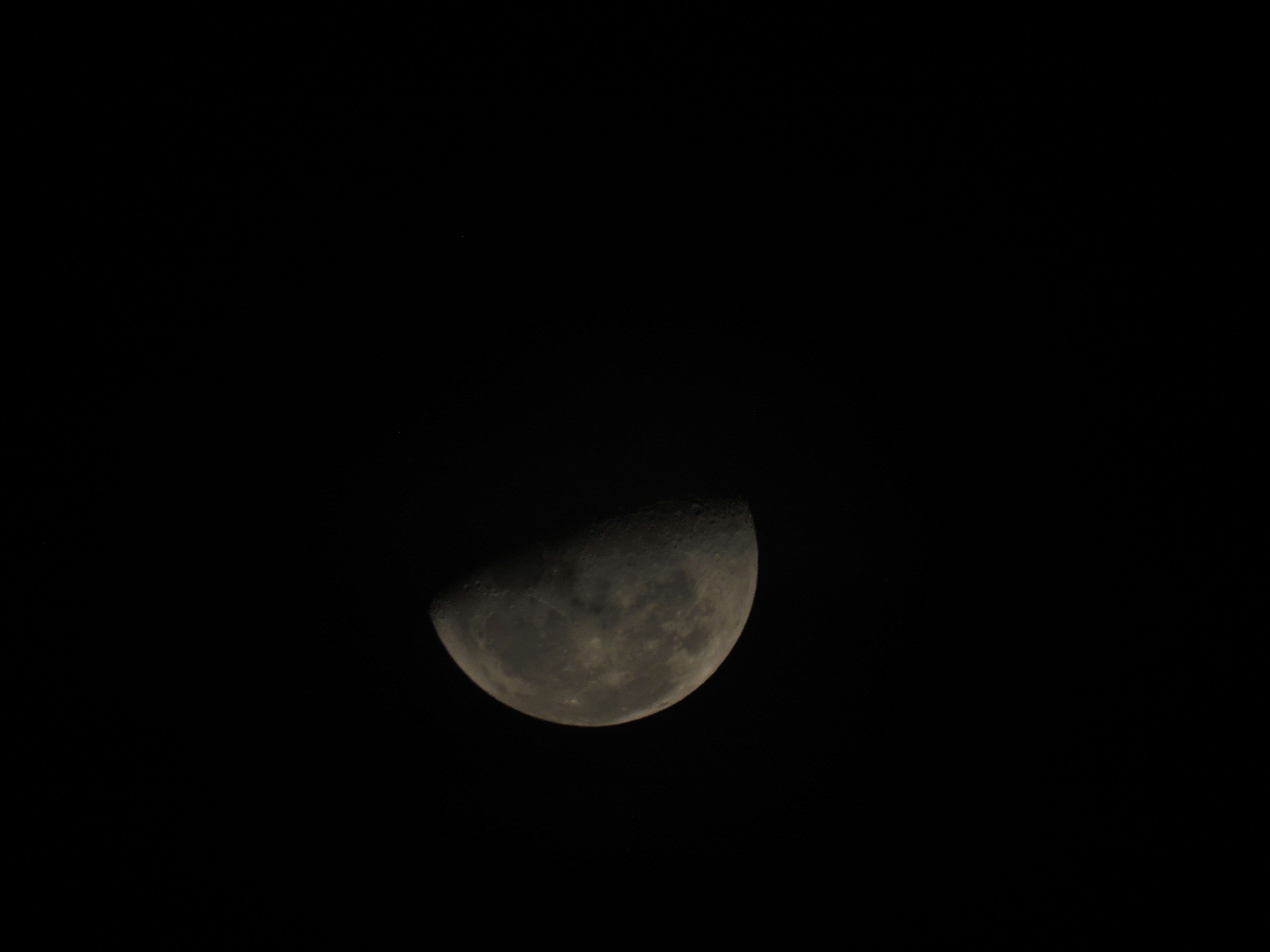 Photo by zoenio