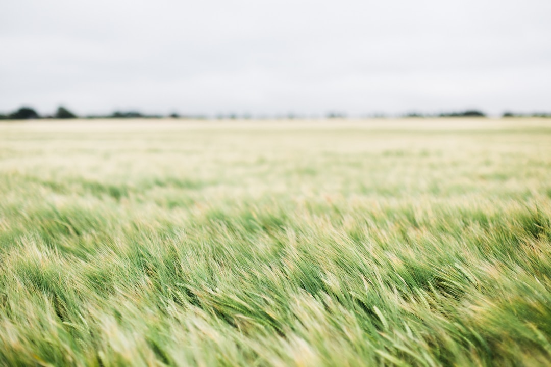 Why do you eat organic?