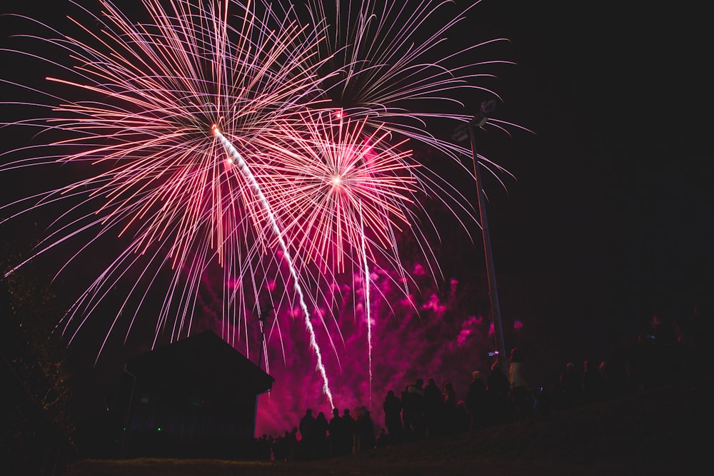 pink fireworks display