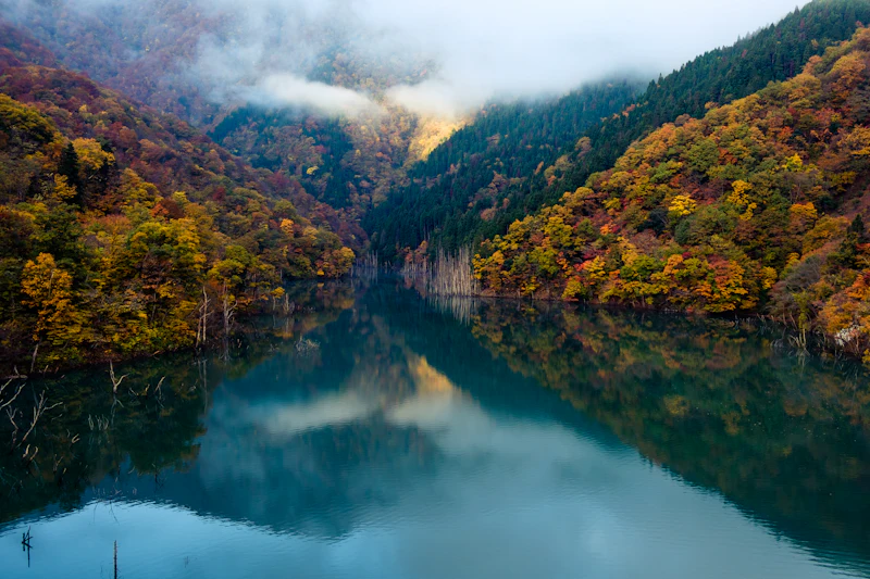 Still water surrounded by trees turning red and gold