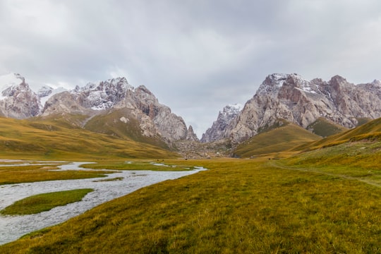 green and brown meadow near mountain range under clear sky in Köl-Suu Kyrgyzstan