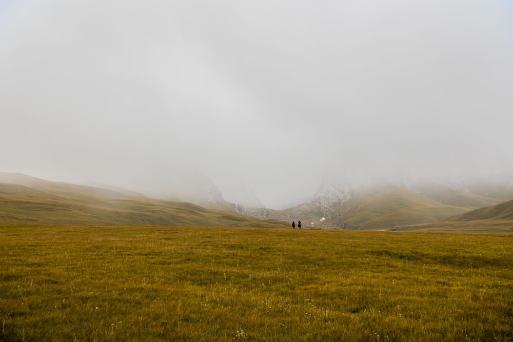 Dos personas en el campo de hierba marrón bajo el cielo gris