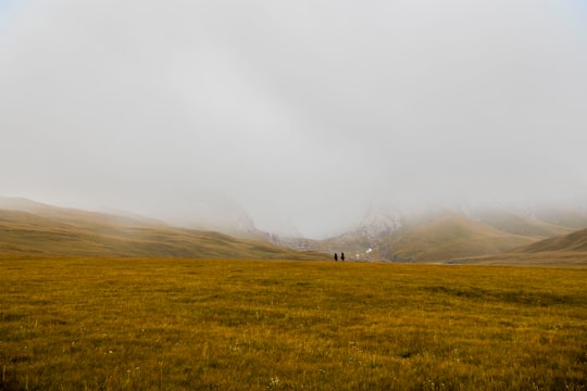 two person in brown grass field under gray sky in Köl-Suu Kyrgyzstan