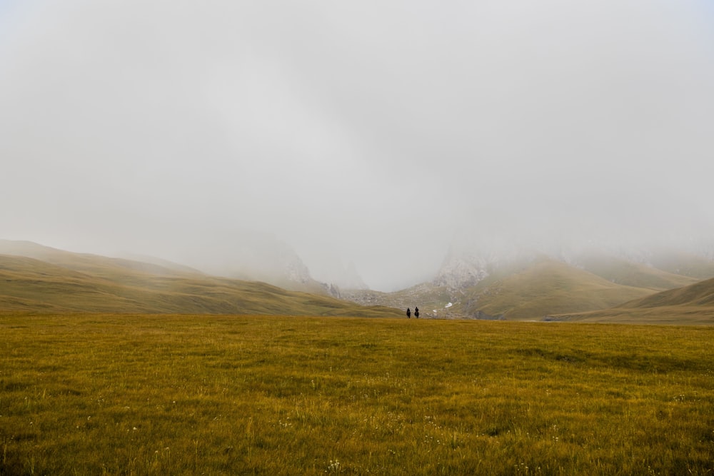 two person in brown grass field under gray sky
