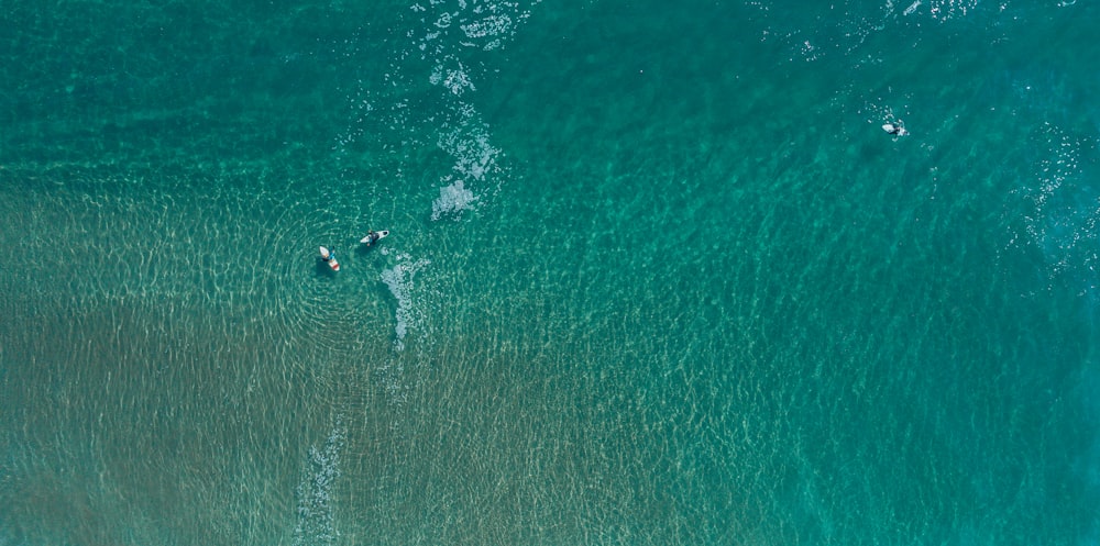海の航空写真でサーフィンする2人