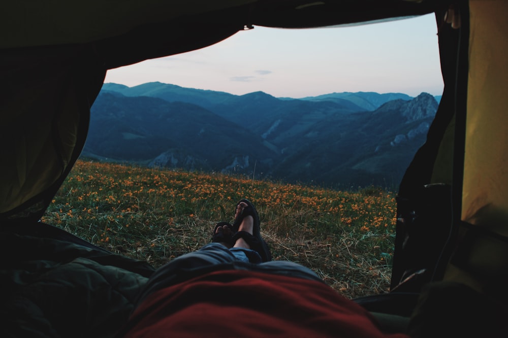 person lying on tent through bed of yellow petaled flowers with mountain in distant