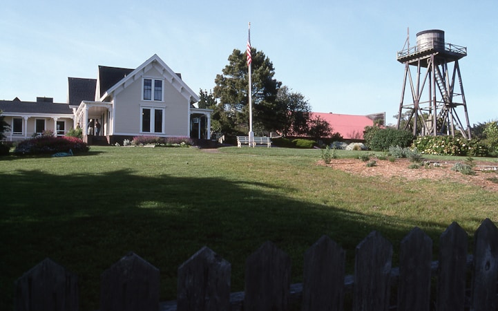 Embracing Faith and Health on the Homestead Farm