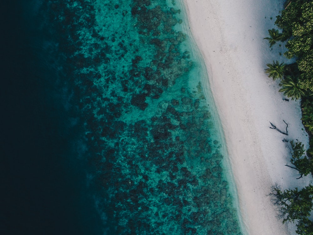 Fotografía a vista de pájaro de la orilla del mar