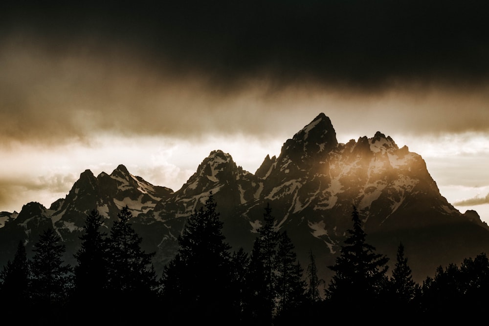 silhouette of trees and mountain during daytime