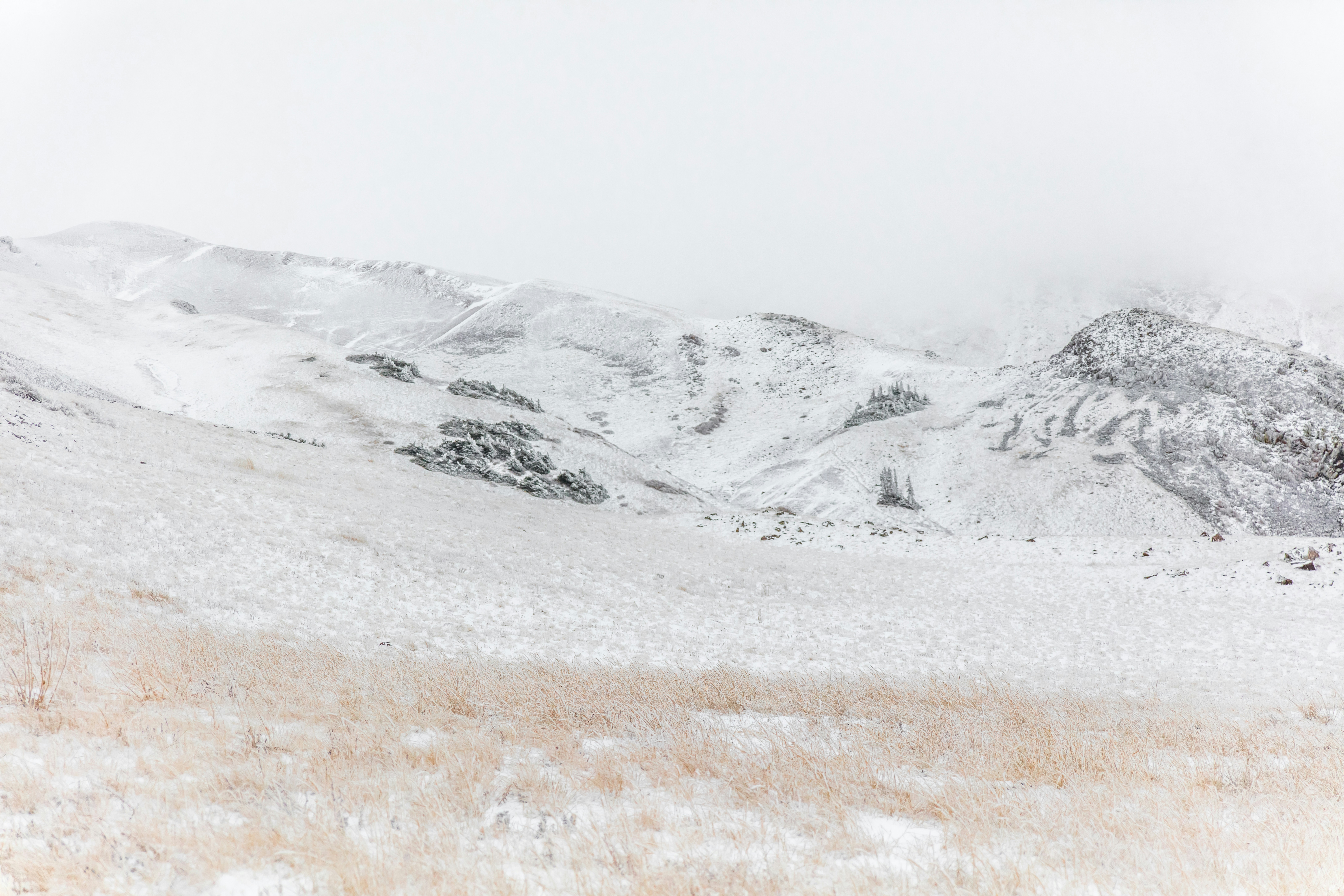 Photo by worldsbetweenlines