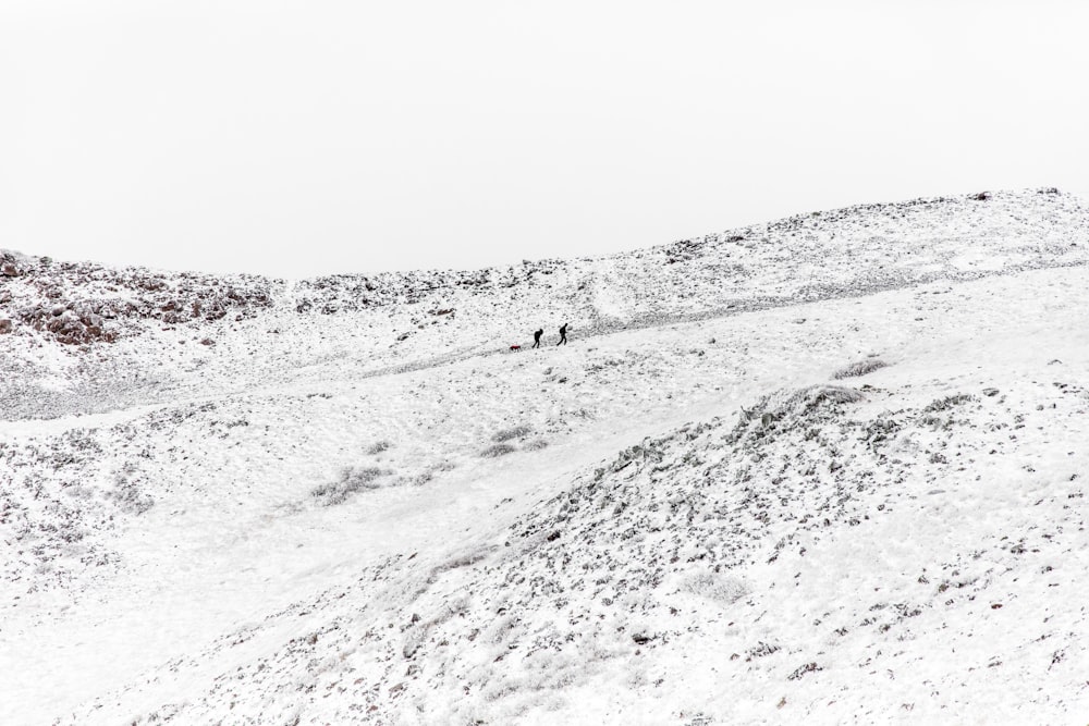 two person walking on the valley