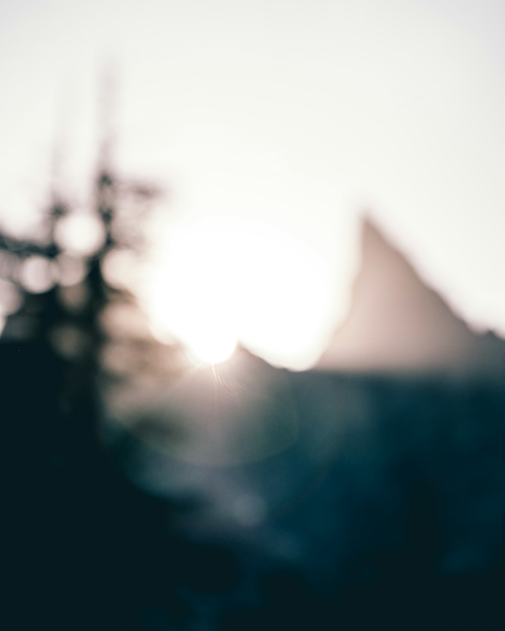30,000+ Blurred Sunset Pictures | Download Free Images on Unsplash