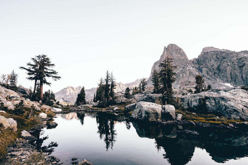 body of water between big rocks and trees under white sky at daytime