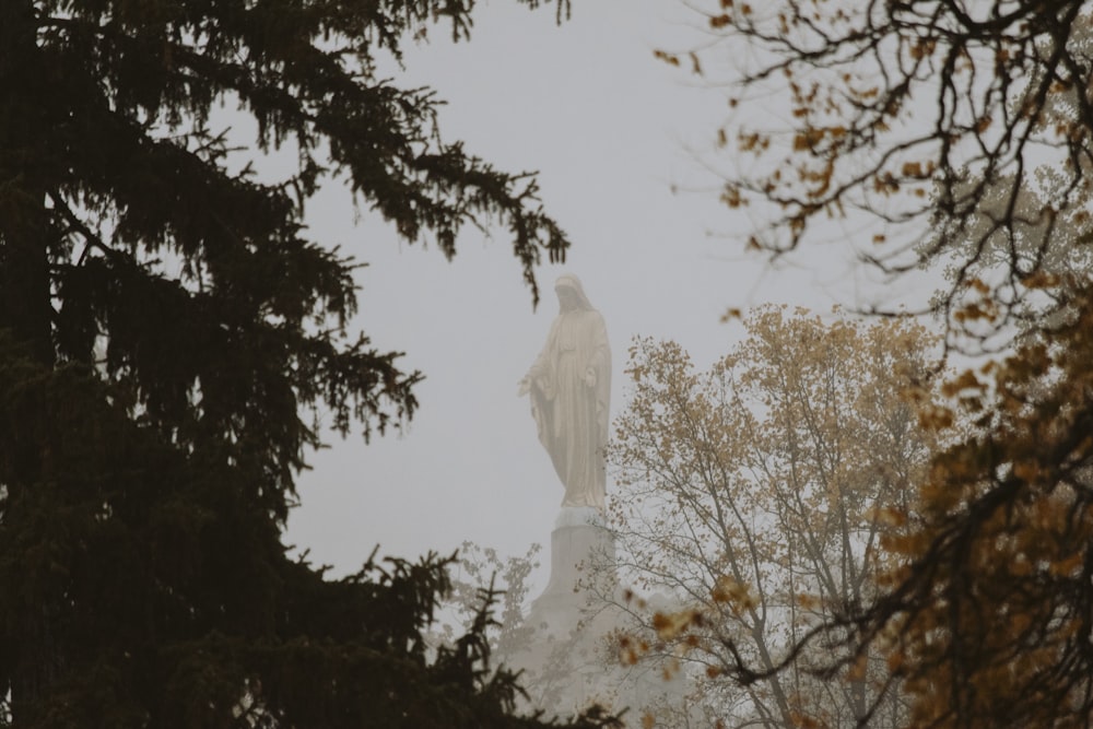 Virgin Mary statue on other side of tree during daytime