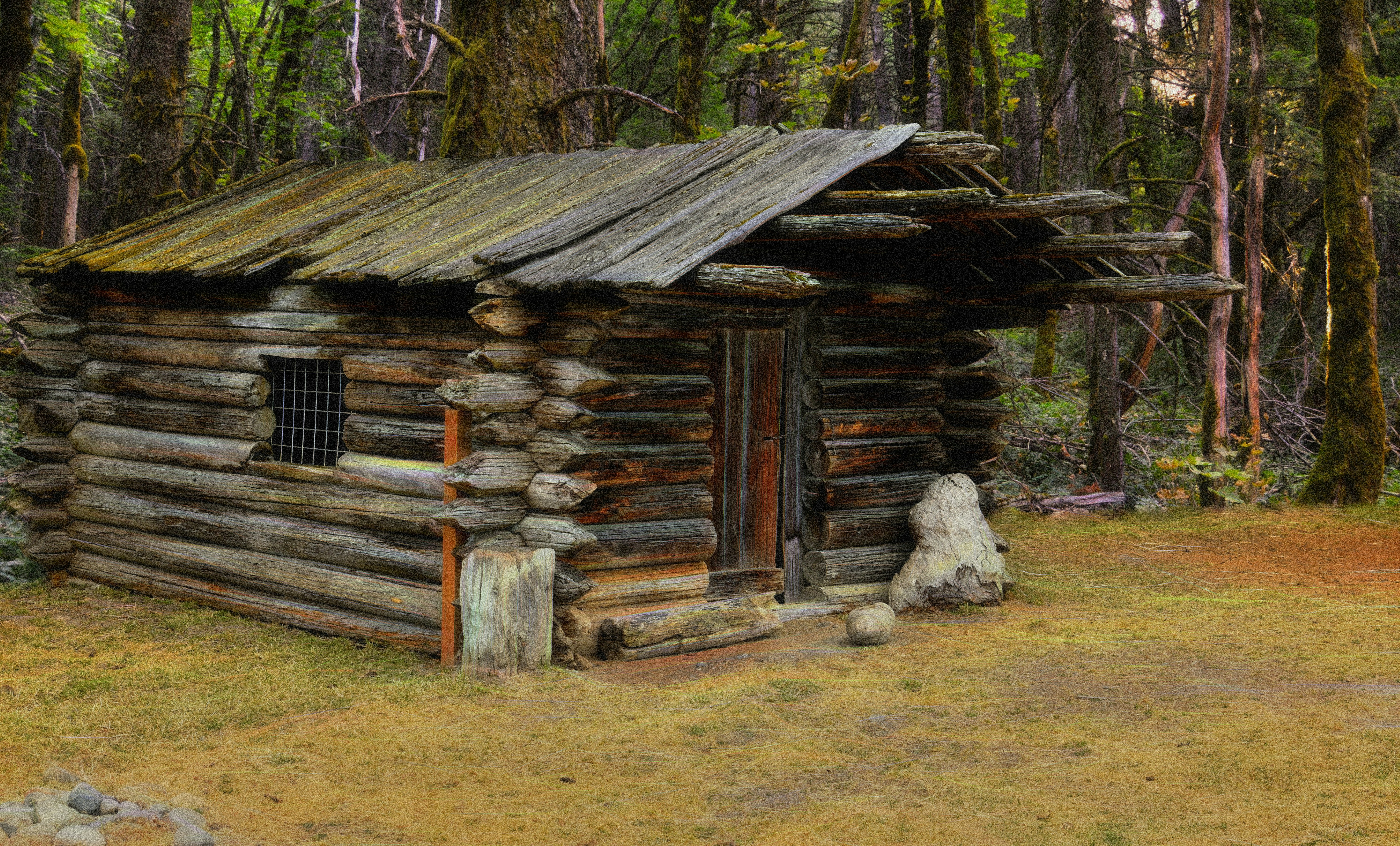 Free Olympic National Forest Image On Unsplash