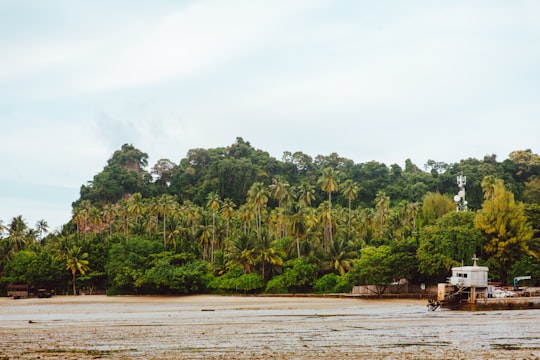 bodies of water near green trees under cloudy sky at daytime in Railay Beach Thailand