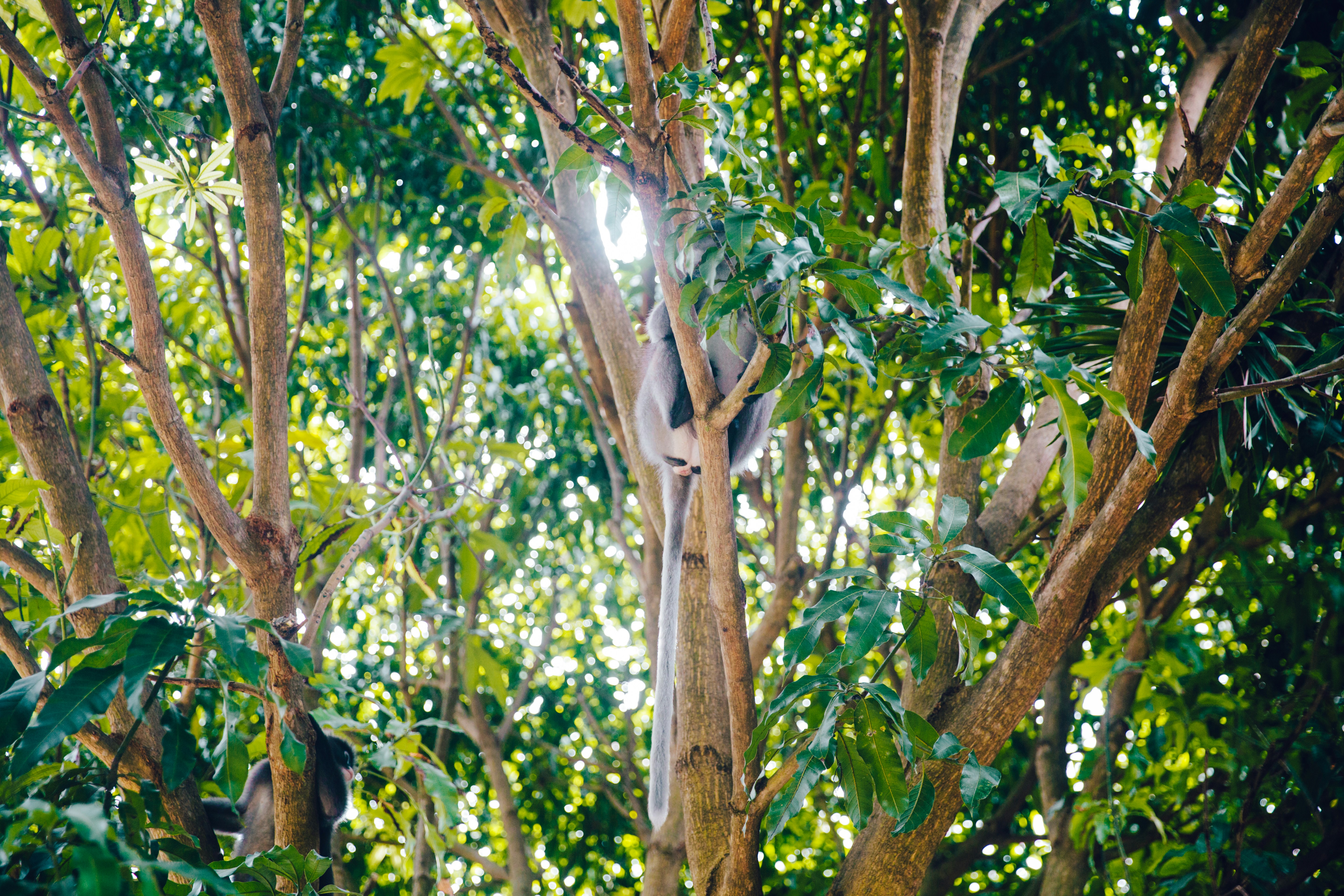 Evan Krause (@evankrause_) | Unsplash-Foto-Community