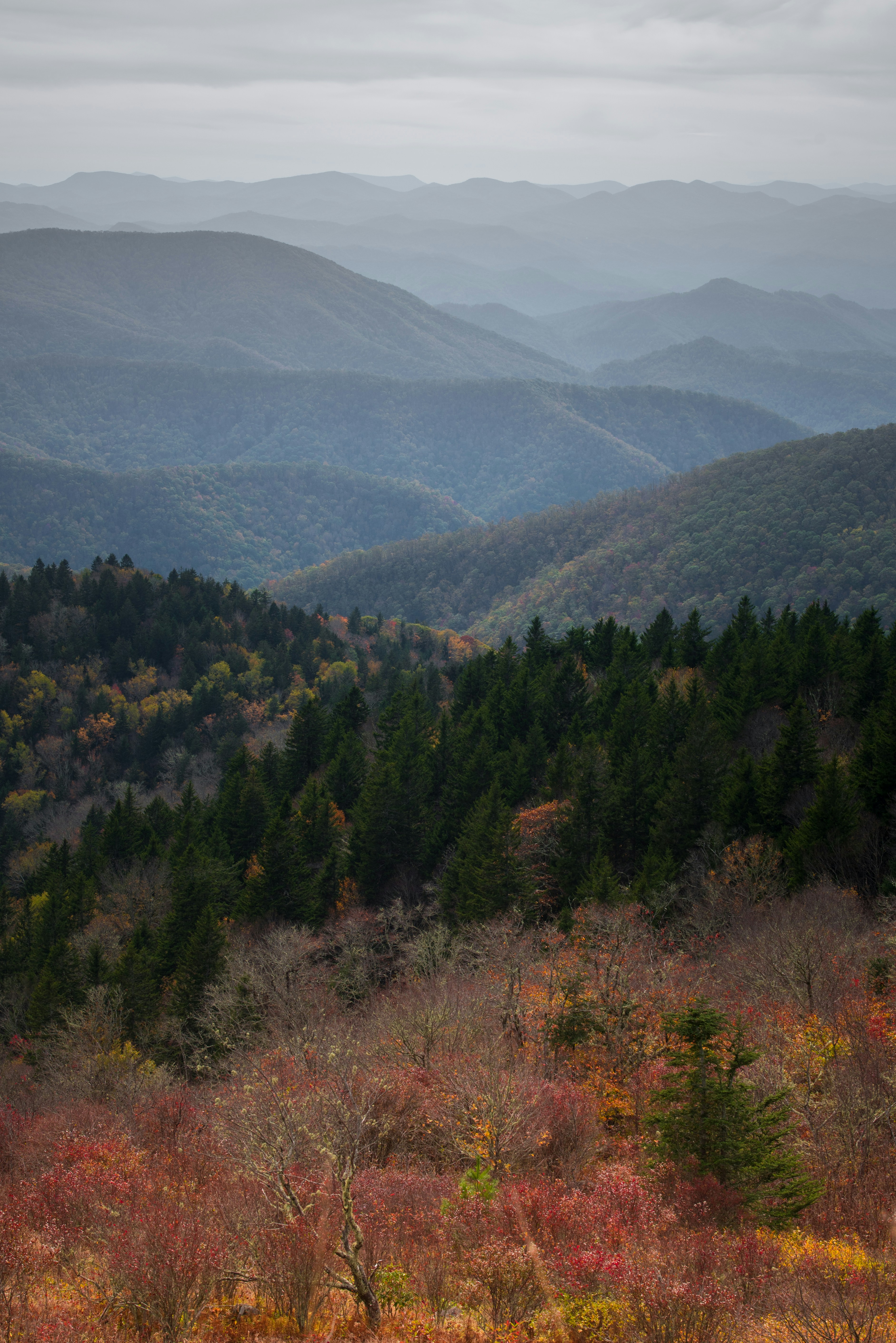 Photo by nathananderson