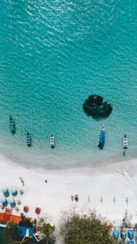 aerial photo of beach