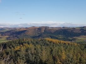 A picturesque landscape featuring rolling hills covered with dense forests, with shades of green and autumnal browns. A bright blue sky with sparse clouds stretches above the horizon.