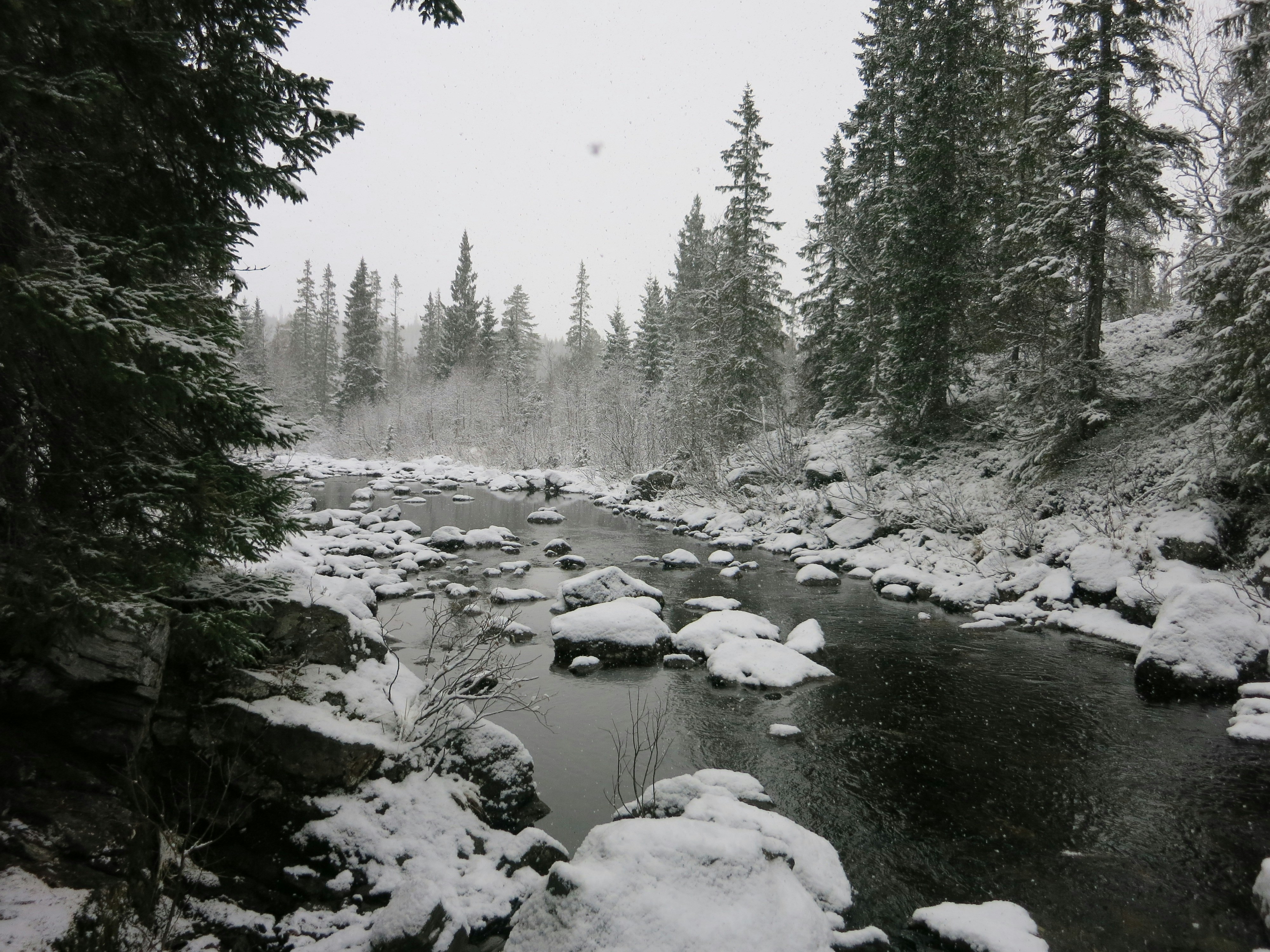 It was in October and this was the first snow for me in Norway. This river close to the cabin where we spent the night was looking amazing in the morning !