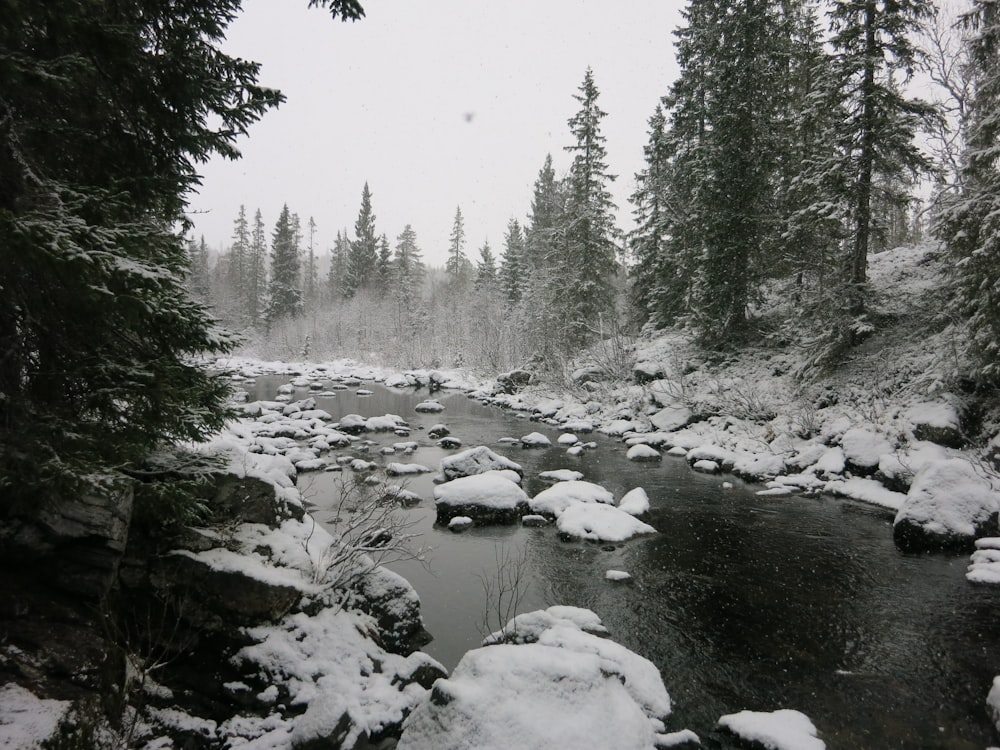 a river surrounded by snow covered trees and rocks