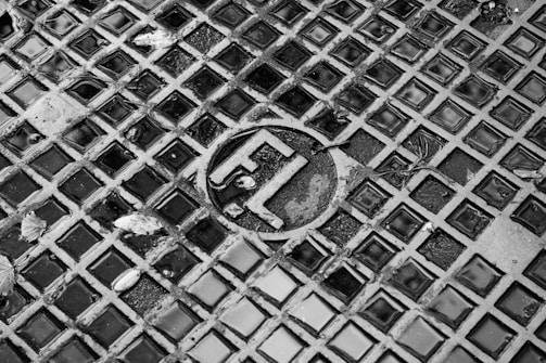 A close-up image of a textured metal grate with square openings, featuring an engraved circular logo in the center. Small puddles of water fill some of the squares, and scattered leaves are visible on the surface.