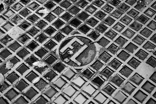 A close-up image of a textured metal grate with square openings, featuring an engraved circular logo in the center. Small puddles of water fill some of the squares, and scattered leaves are visible on the surface.