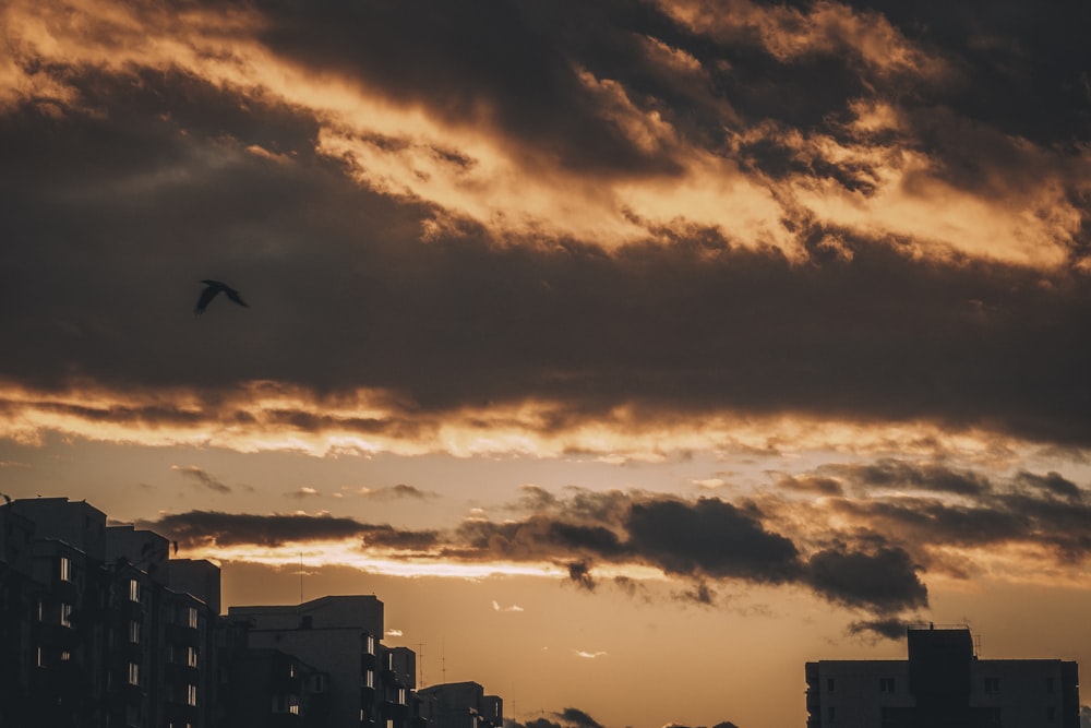 time lapse photography of city under sunset