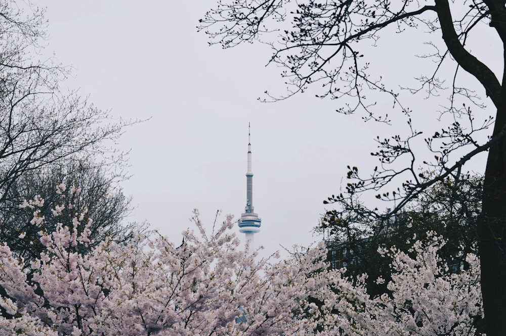 white and black tower surrounded by trees