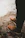 selective focus photography of person wearing brown lace-up shoes standing on rock