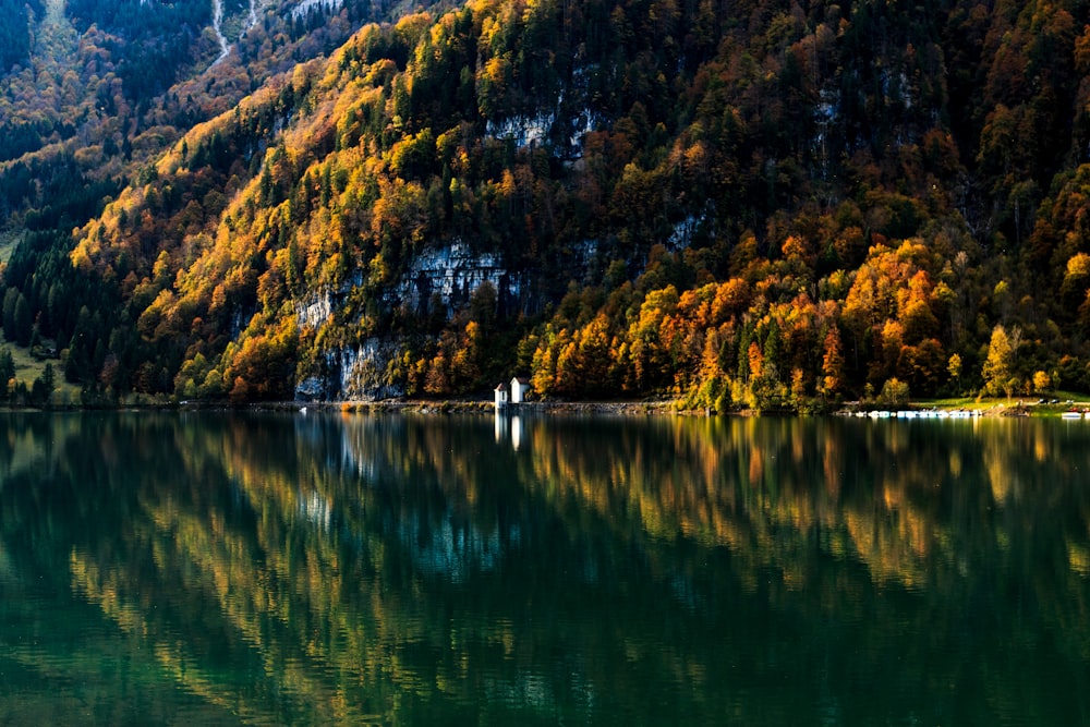 landscape photography of lake near the mountain