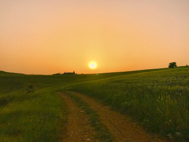 A peaceful dirt path winding through golden fields at sunset, inviting calm and nature.
