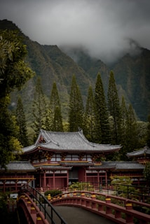 A traditional Japanese-style building is set against a backdrop of lush green mountains and towering trees, with a layer of clouds hanging low. A red arched bridge leads to the entrance of the structure, adding to the serene and tranquil environment.